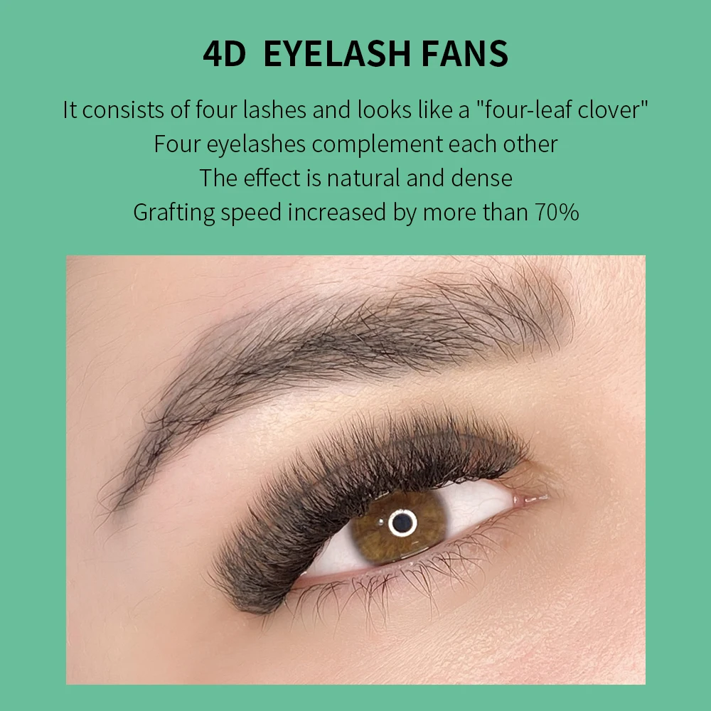GLAMLASH 4D W forme Extensions - Eyelash Extension For Asian Eyes avis et prix