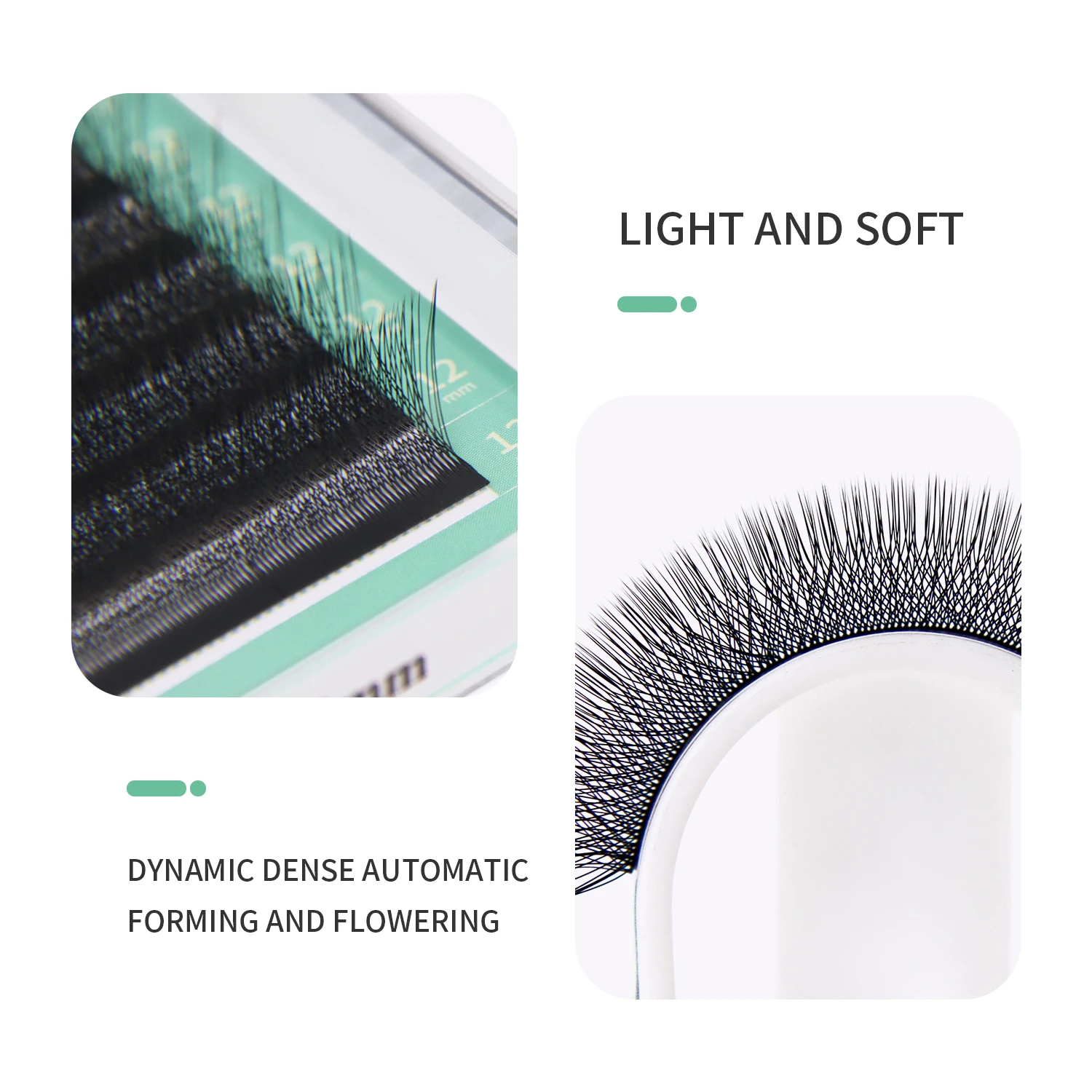 GLAMLASH 4D W forme Extensions - Eyelash Extension For Asian Eyes avis et prix