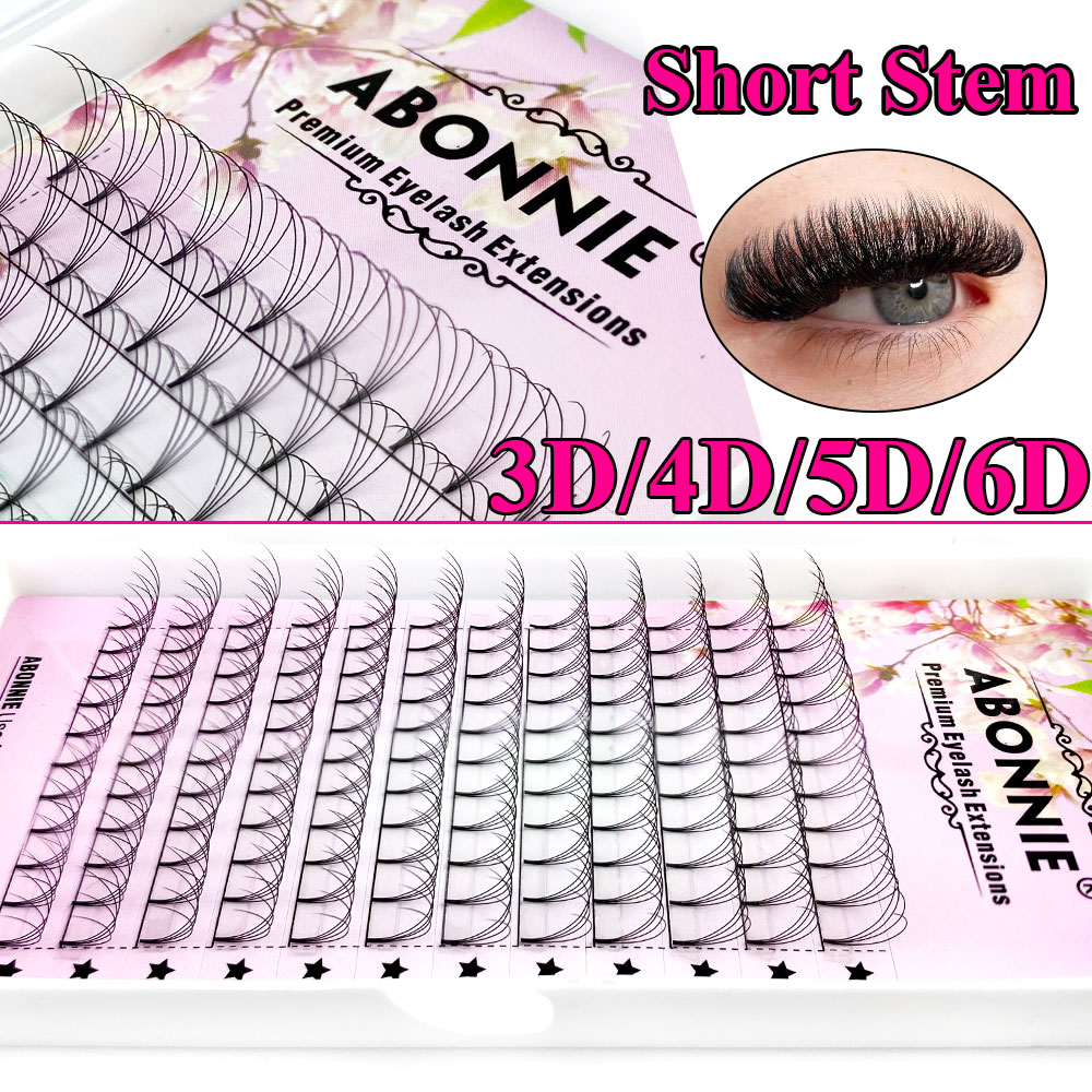 Abonnie 6D Éventails préfabriq - Eyelash Extension For Asian Eyes avis et prix